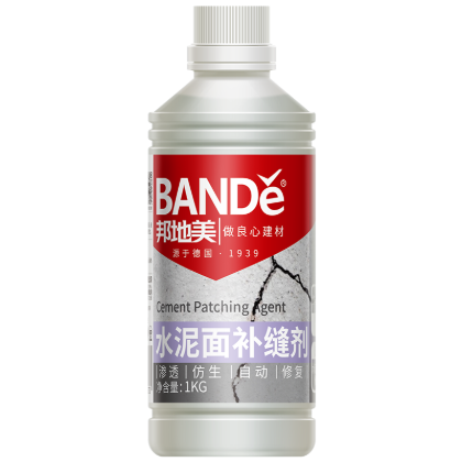 BSF-X31 水泥面补缝剂